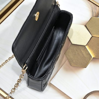Dior Bag — 8