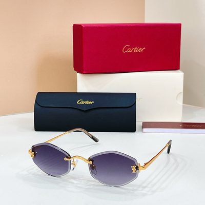 Cartier Sunglasses — 3