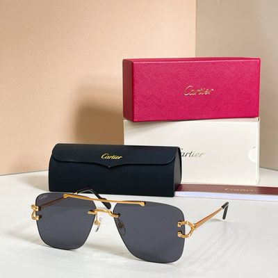 Cartier Sunglasses — 6