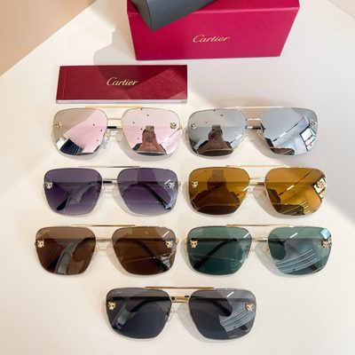 Cartier Sunglasses — 8