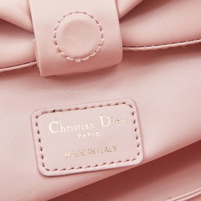 Dior Bag — 8