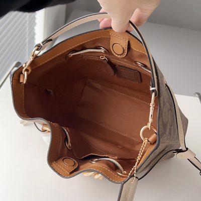Coach Bag — 10
