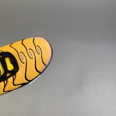 Nike Air Max Plus trainers — 7