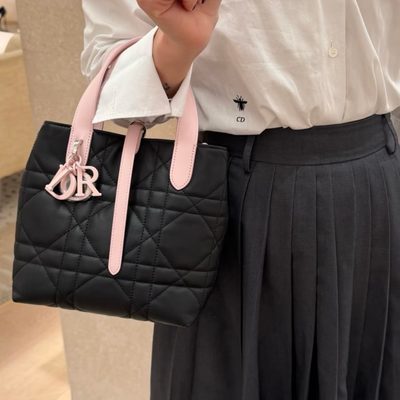Dior Bag — 8