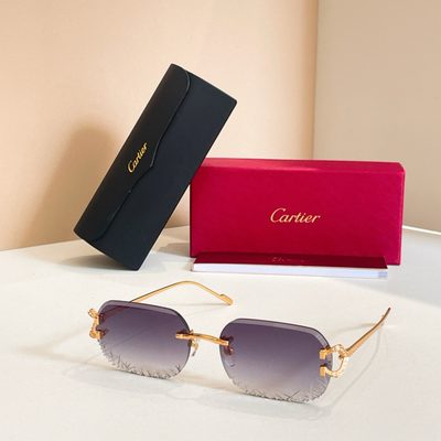 Cartier Sunglasses — 6