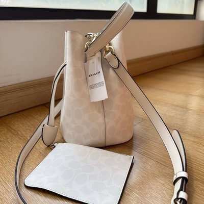 Coach Bag — 4