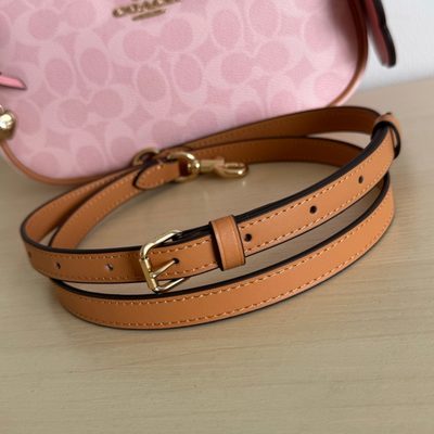 Coach Bag — 5