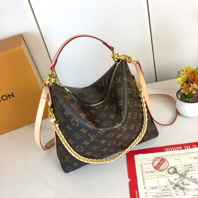 Louis Vuitton Bag — 5