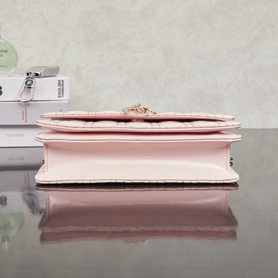 Dior Bag — 6