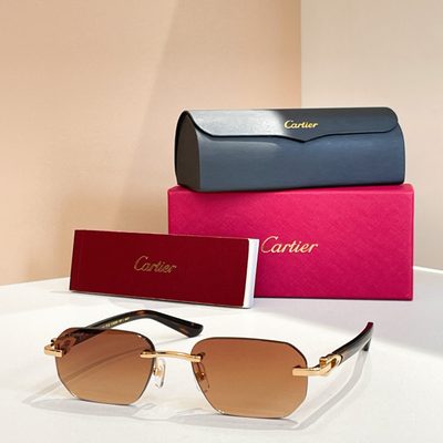 Cartier Sunglasses — 3