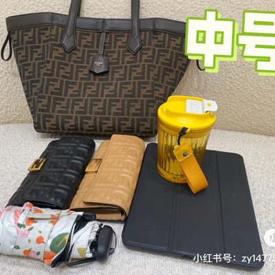 Fendi Bag — 7