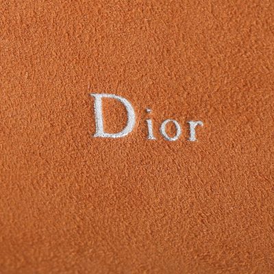 Dior Bag — 8
