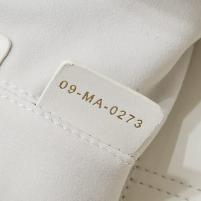 Dior Bag — 8