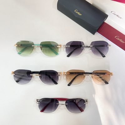 Cartier Sunglasses — 8