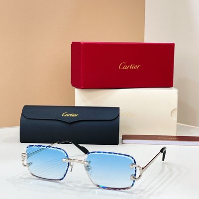 Cartier Sunglasses — 3