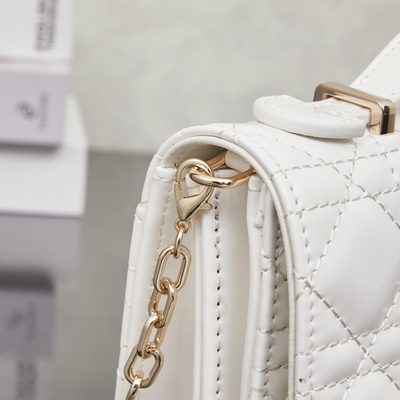 Dior Bag — 6