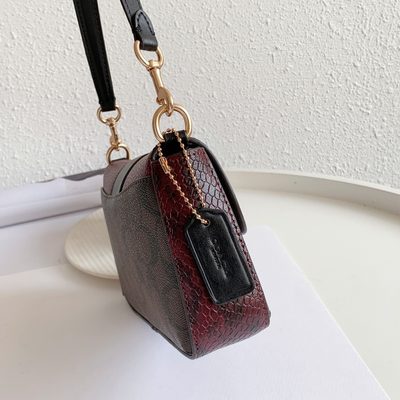 Coach Bag — 10