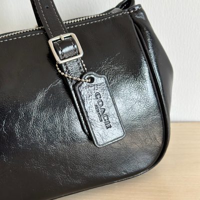 Coach Bag — 6