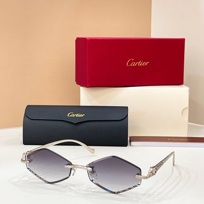 Cartier Sunglasses — 5