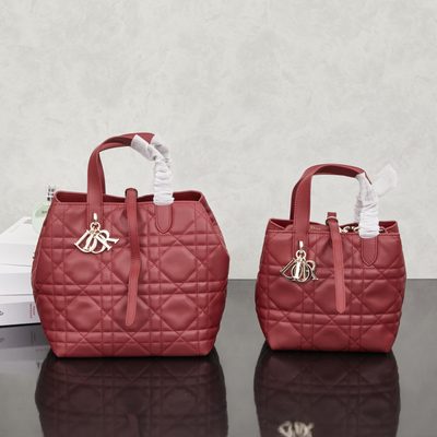 Dior Bag — 10
