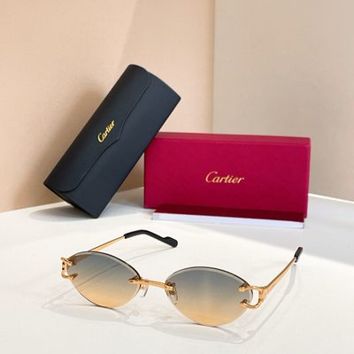 Cartier Sunglasses — 5