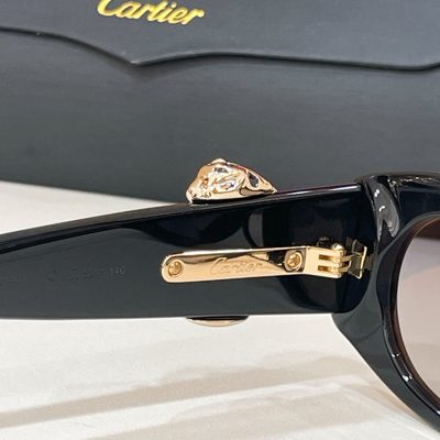 Cartier Sunglasses — 5