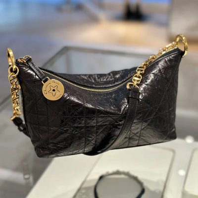 Dior Bag — 9