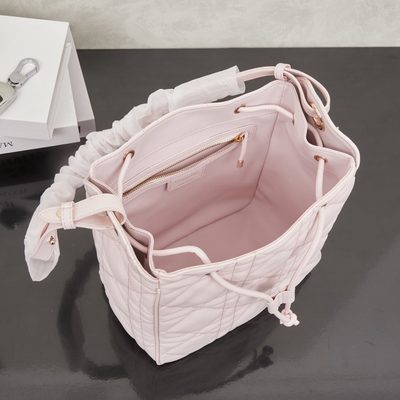 Dior Bag — 9