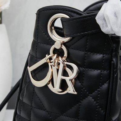 Dior Bag — 5