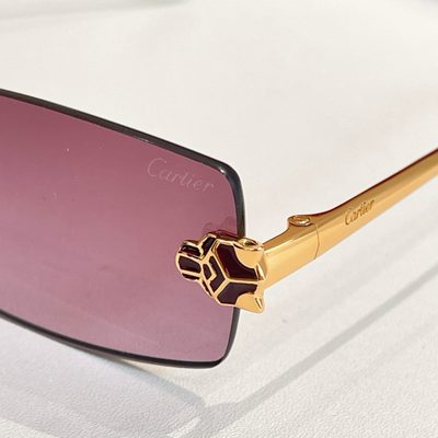Cartier Sunglasses — 7