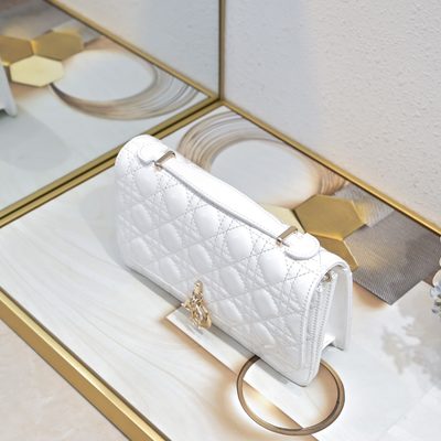 Dior Bag — 6