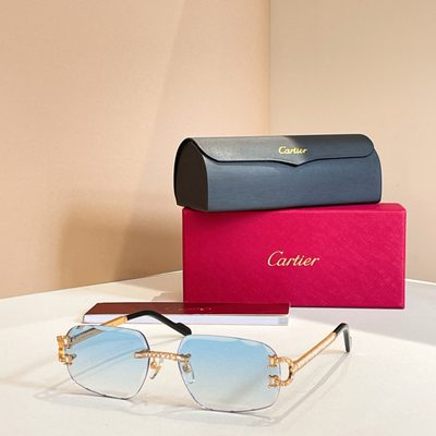 Cartier Sunglasses — 7