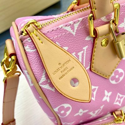 Louis Vuitton Bag — 5