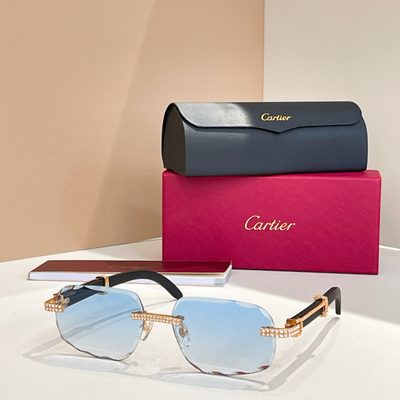 Cartier Sunglasses — 4