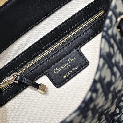 Dior Bag — 9