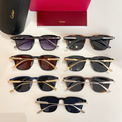 Cartier Sunglasses — 9
