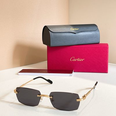 Cartier Sunglasses — 3