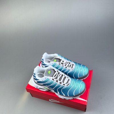 Nike Air Max Plus trainers — 9