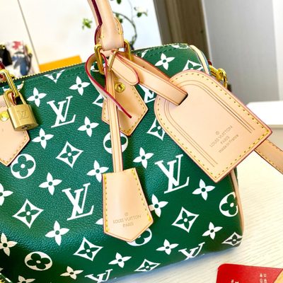 Louis Vuitton Bag — 4