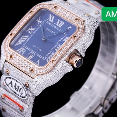 Cartier Watch — 6