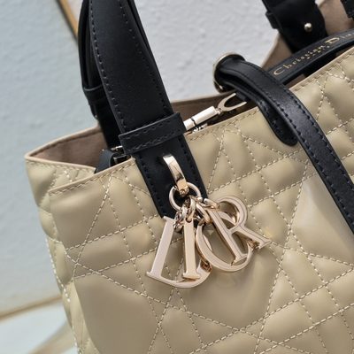 Dior Bag — 5