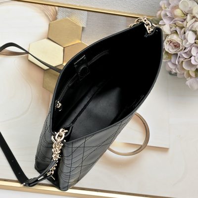 Dior Bag — 8