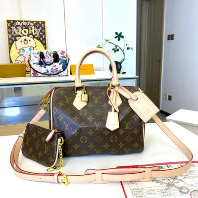 Louis Vuitton Bag
