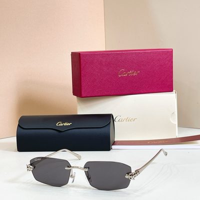 Cartier Sunglasses — 5