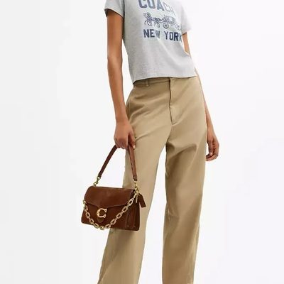 Coach Bag — 4