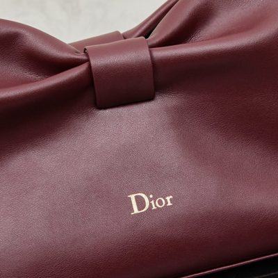 Dior Bag — 5