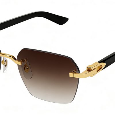 Cartier Sunglasses — 4