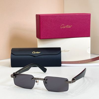Cartier Sunglasses — 4