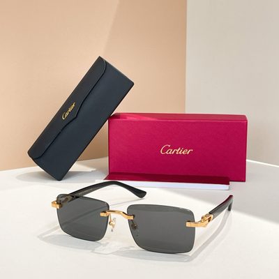 Cartier Sunglasses — 8