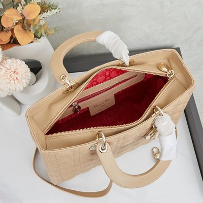 Dior Bag — 9